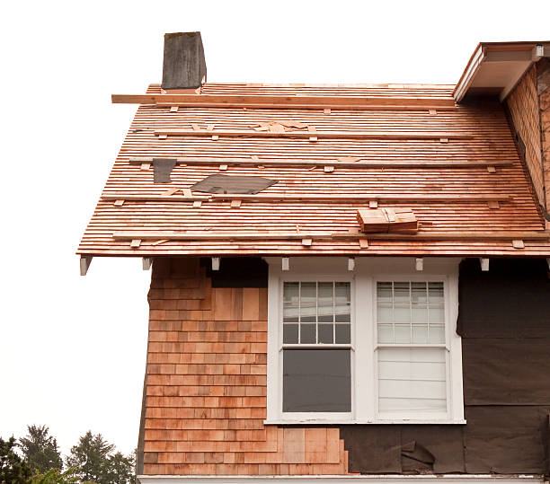 Affordable Siding Repair and Maintenance Services in Salmon, ID